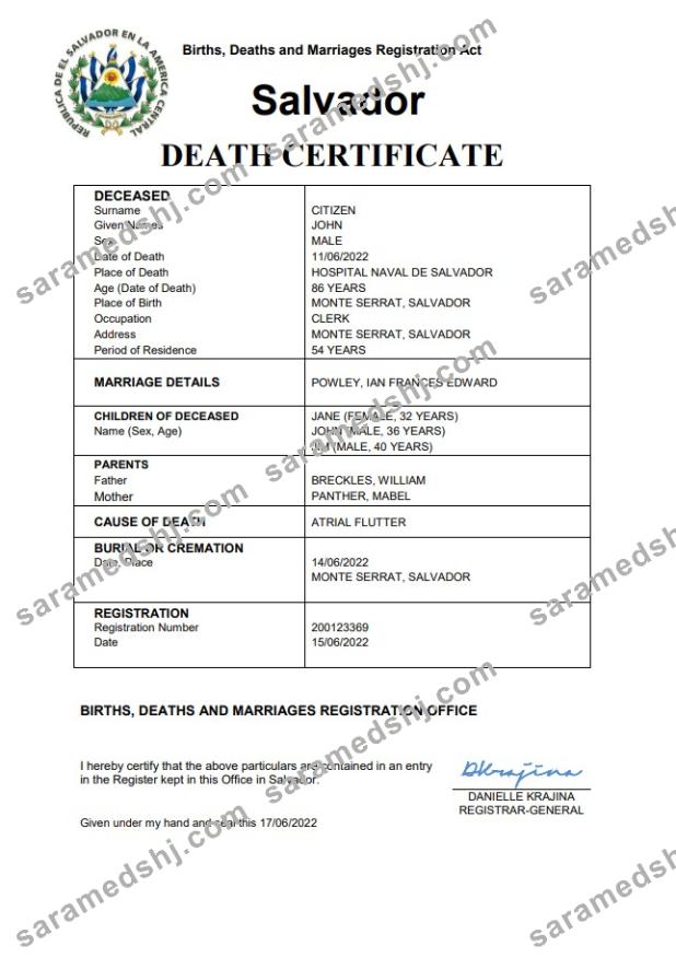 Salvador vital record death certificate Word and PDF template